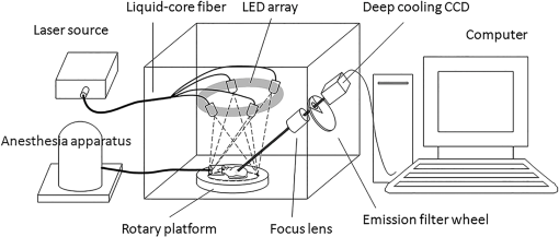 JBO_19_11_116002_f001.png