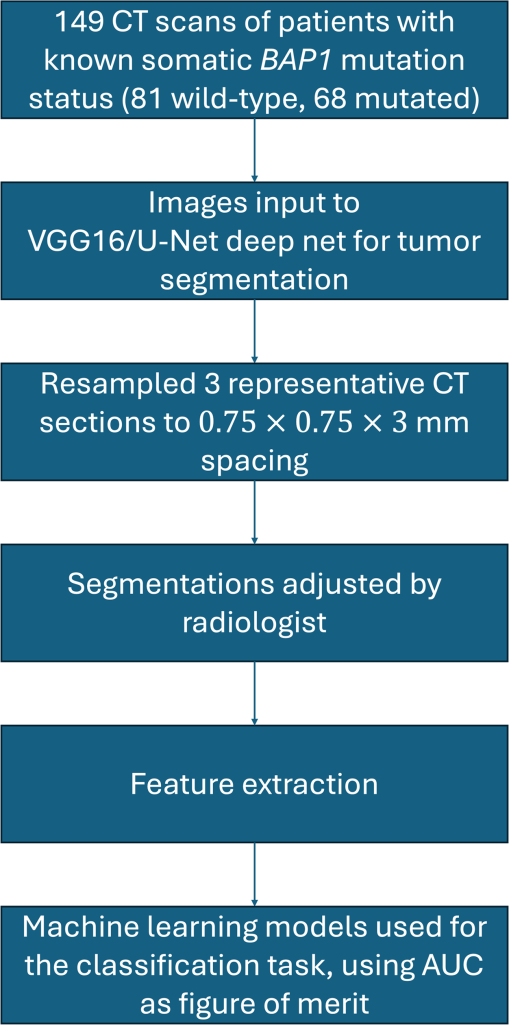 JMI_11_6_064501_f001.png